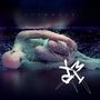 X-Marks The Pedwalk: Insomnia, CD