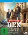 Andreas Kopriva: Kommissar Rex (2026) Staffel 1 (Blu-ray), BR