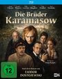 "Die Brüder Karamasow" steht groß in der Mitte. Darunter "Nach dem Roman von Fjodor Dostojewski". Mehrere Personen sind abgebildet.