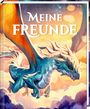 : Freundebuch - Meine Freunde, Buch