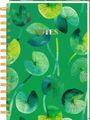 : Ringbuch DIN A5 - All about green, Div.