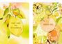 Links: "YOU ARE MY SUNSHINE" auf gelbem Kristall, rechts: "SHINE ON" auf orangefarbenem Kreis, Hintergrund floral.