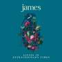 James (Rockband): Living In Extraordinary Times (180g), LP,LP