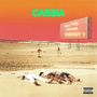 Cassia: Why You Lacking Energy? (Limited Indie Exclusive Edition) (Pink & Yellow Split Vinyl), LP