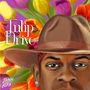 Jimmie Allen: Tulip Drive, CD