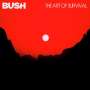 Bush: The Art Of Survival, LP