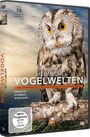 : Heimische Vogelwelten, DVD