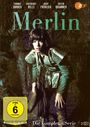 Armin Dahlen: Merlin (1979) (Komplette Serie), DVD,DVD