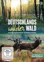 Axel Gebauer: Deutschlands wilder Wald: Das geheime Leben der Rothirsche / Naturwunder Schorfheide, DVD
