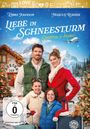 Dylan Pearce: Liebe im Schneesturm, DVD