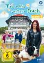 Berno Küten: Tiere bis unters Dach Staffel 5, DVD,DVD