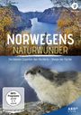 Zoltan Török: Norwegens Naturwunder: Die kleinen Giganten des Nordens / Magie der Fjorde, DVD