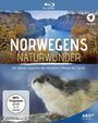 Zoltan Török: Norwegens Naturwunder: Die kleinen Giganten des Nordens / Magie der Fjorde (Blu-ray), BR