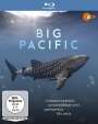 Craig Meade: Big Pacific (Blu-ray), BR