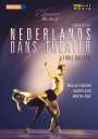 : Nederlands Dans Theater - Three Ballets, DVD