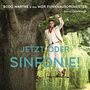 Bodo Wartke: Jetzt oder Sinfonie!, LP,LP