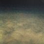 Moon Zero: Relationships Between Inner & Outer Space (180g), LP