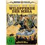 George B. Seitz: Wildpferde der Mesa, DVD