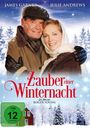 Roger Young: Zauber einer Winternacht, DVD