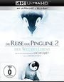 Luc Jacquet: Die Reise der Pinguine 2 - Der Weg des Lebens (Ultra HD Blu-ray & Blu-ray), UHD,BR