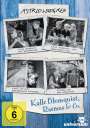 : Astrid Lindgren - Kalle Blomquist & Rasmus, DVD,DVD