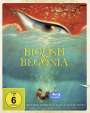 Zhang Chun: Big Fish & Begonia (Collector's Edition) (Blu-ray), BR