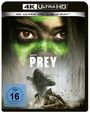 Dan Trachtenberg: Prey (2022) (Ultra HD Blu-ray & Blu-ray), UHD,BR
