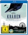 Martin Schilt: Krähen - Die Natur beobachtet uns (Blu-ray), BR