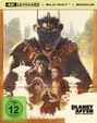 Wes Ball: Planet der Affen: New Kingdom (Ultra HD Blu-ray & Blu-ray im Steelbook), UHD,BR