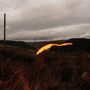 Quade: The Foel Tower, LP