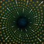 Mohammad Reza Mortazavi: Nexus, LP