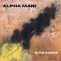 Alpha Maid: Is This A Queue, LP