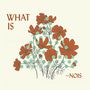 ~nois: What is ~Nois, CD