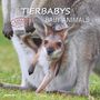 : Tierbabys 2026 - Broschürenkalender 30x30 cm (30x60 geöffnet) - Kalender mit Platz für Notizen - Baby Animals - Bildkalender - Wandplaner - Alpha Edition, KAL