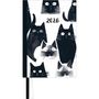 : Taschenkalender 'Cats' 2026 - Terminplaner mit Wochenkalendarium - Format 11,3 x 16,3 cm, Buch