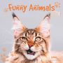 : Funny Animals 2026 - Wand-Kalender - Broschüren-Kalender - 30x30 - 30x60 geöffnet, KAL