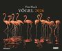 : Tim Flach: Vögel 2026 - Posterkalender von DUMONT- Vogel-Porträts von Tim Flach - Poster-Format 50 x 70 cm, KAL