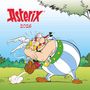 : Asterix 2026 - Wand-Kalender - Broschüren-Kalender - 30x30 - 30x60 geöffnet - Cartoon, KAL