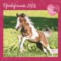 : Pferdefreunde 2026 - Broschürenkalender - Kinder-Kalender - Format 30 x 30 cm, KAL