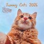 : Funny Cats 2026 - Broschürenkalender 30x30 cm (30x60 geöffnet) - Kalender mit Platz für Notizen - Katzen - Bildkalender - Wandplaner - Katzenkalender, KAL