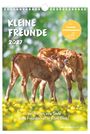 Kleine Freunde 2027, KAL