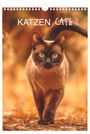 "KATZEN CATS 2027. ALPHA EDITION. Eine Katze läuft über herbstliches Laub, ihr Fell hat einen warmen Braunton."