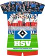 Hamburger SV 2027, KAL
