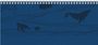 Tisch-Querkalender Nature Line Ocean 2027, KAL