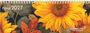 Text: "Floral 2027", "GreenLine CALENDARS". Illustration von großen, leuchtend gelben Sonnenblumen und bunten Blättern.