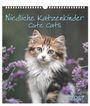 „Niedliche Katzenkinder“, „Cute Cats“, „2027“. Kätzchen mit blauem Blick, umgeben von lila Blüten.