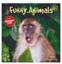 Funny Animals 2027, KAL