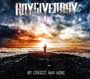 Any Given Day: My Long Way Home (Yellow Red Marbled Vinyl), LP