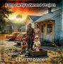 Oben steht: "Tony Carey's Planet P Project", unten: "LEVITTOWN". Eine Familie vor einem Haus, im Hintergrund eine Explosion.