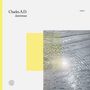 Text: "Charles. A.D. luminous". Unten ein geometrisches Logo. Rechts Wasser mit Lichtreflexion, daneben gelber Streifen.